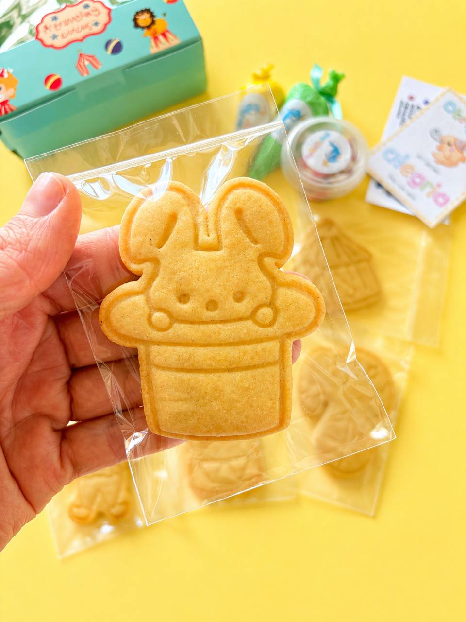 Circo – Cookie Decorating Kit