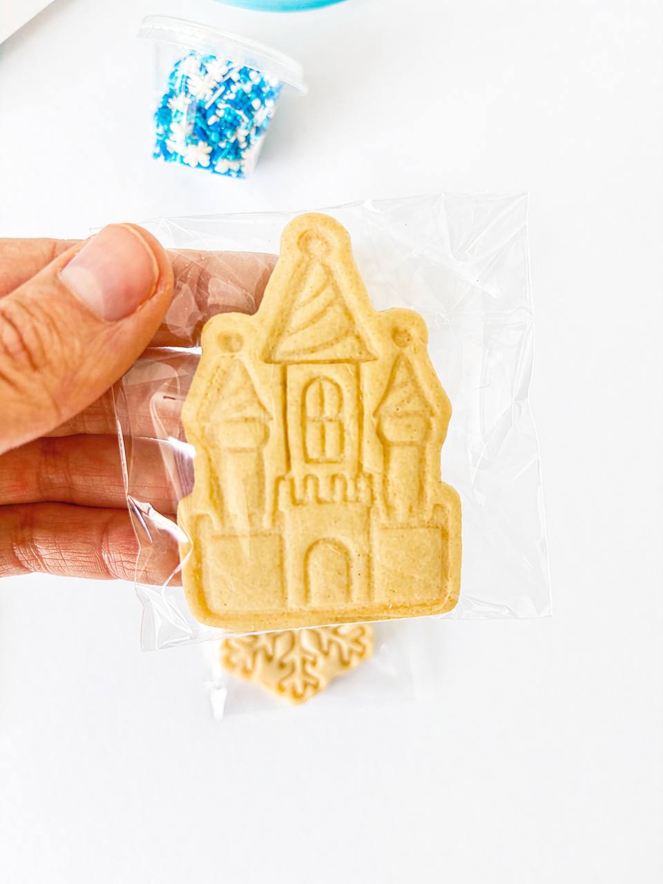 Frozen – Cookie Decorating Kit