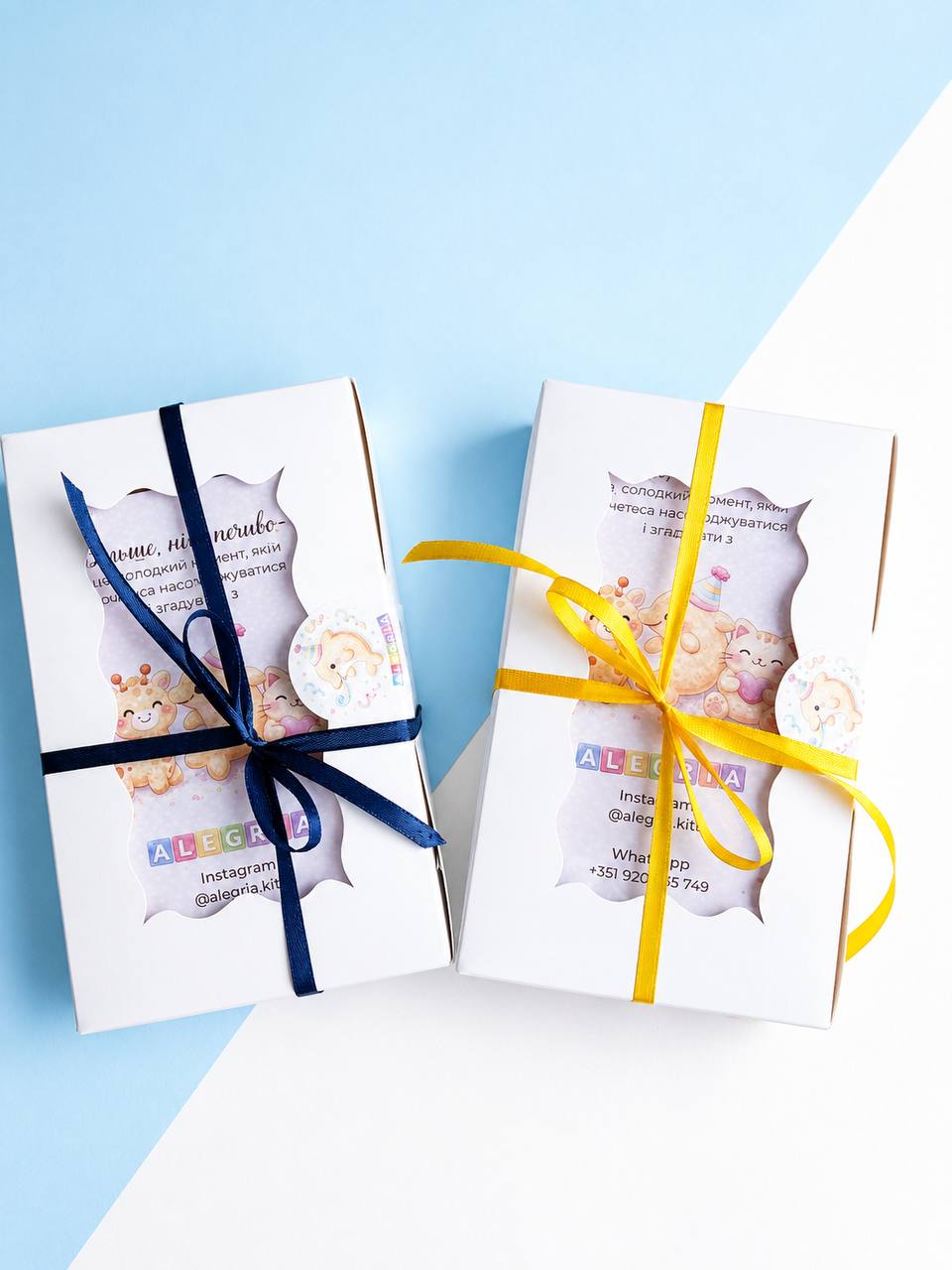 Space – Cookie Decorating Kit