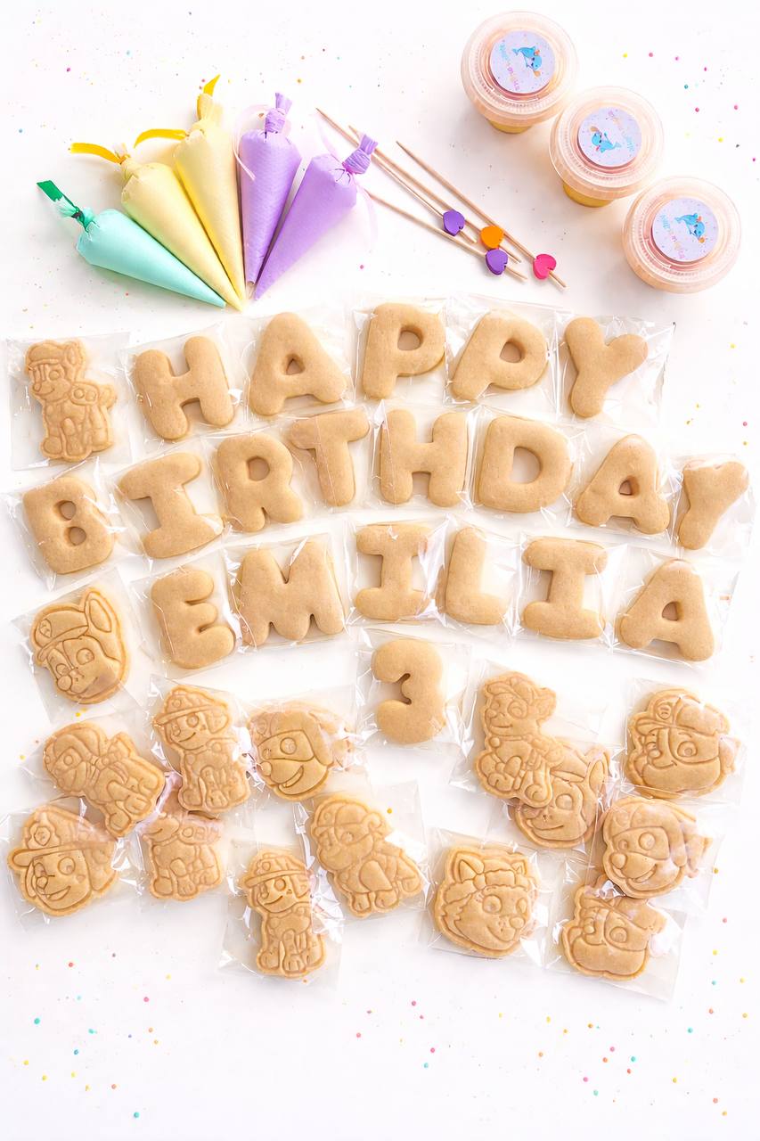 Large Birthday Cookie Decorating Kit