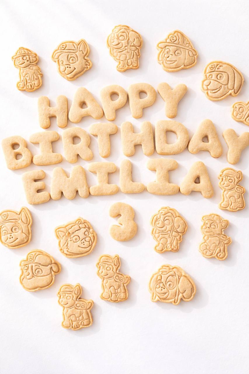 Large Birthday Cookie Decorating Kit